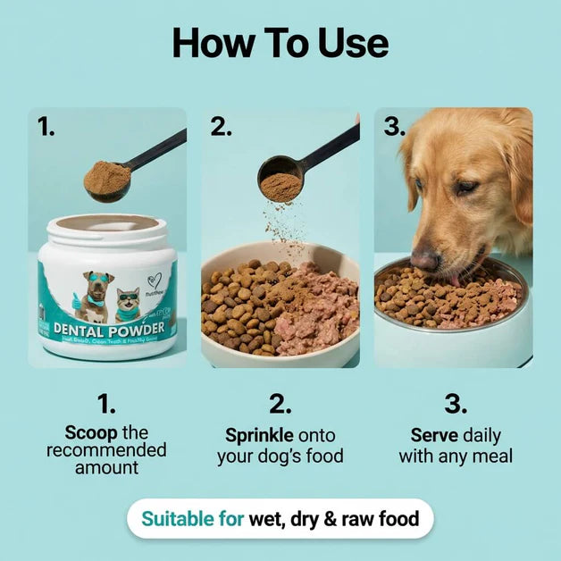 Pellicle's Dental Meal Topper
